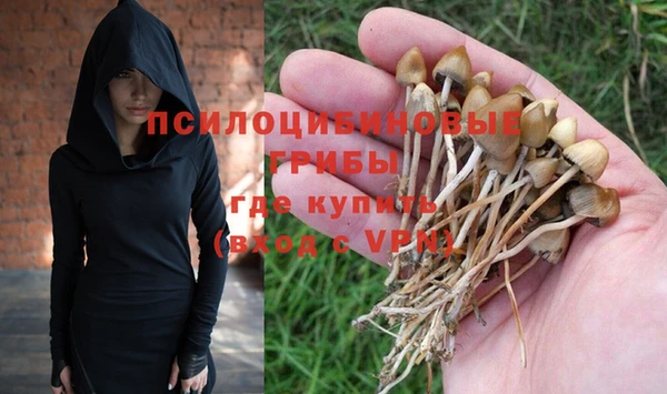 Альфа ПВП Беломорск