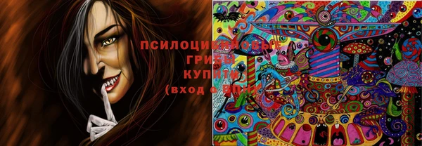 марки nbome Белокуриха