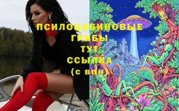 Альфа ПВП Беломорск