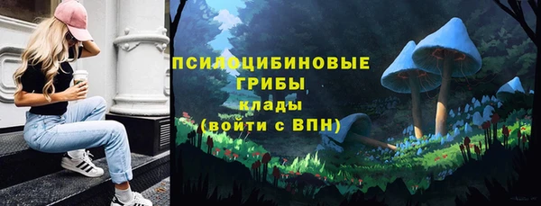Альфа ПВП Беломорск