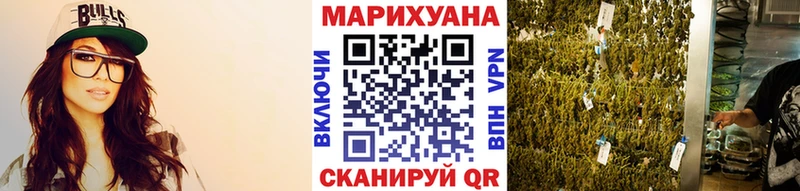 как найти   Облучье  Марихуана SATIVA & INDICA 